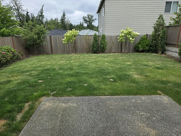 3308 104th Ave NE — Photo 23
