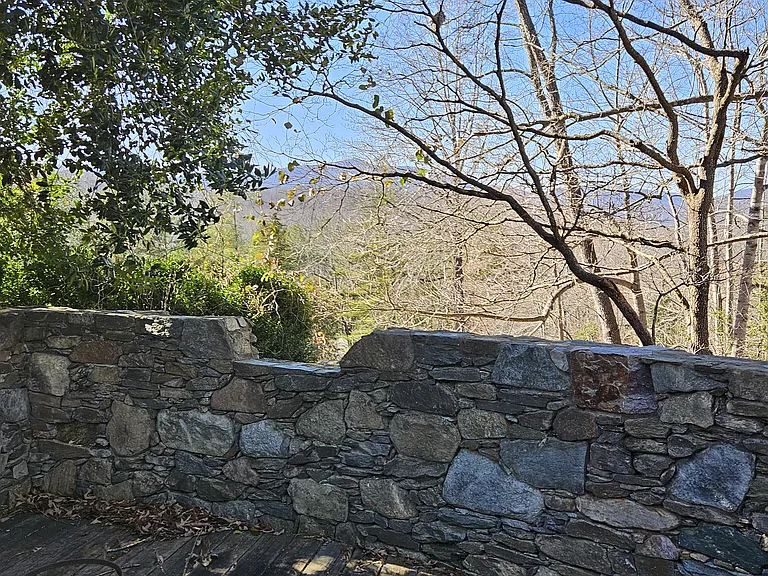 Taylor Creek Rd — Photo 38