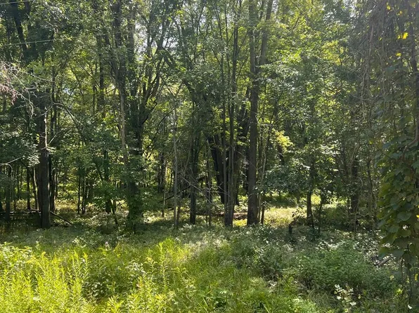 0 W Castle Rd, Fostoria, MI 48435