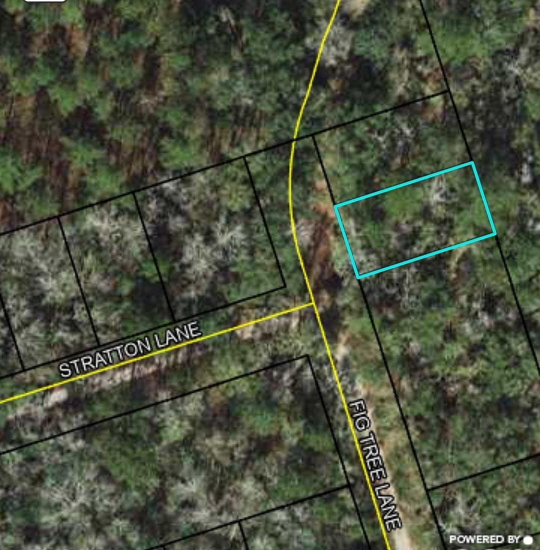 Fig Tree Ln 1, Crawfordville, FL 32327 Zillow