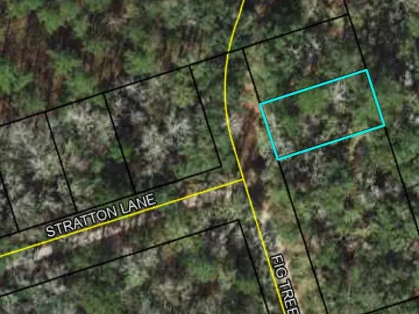 Fig Tree Ln #1, Crawfordville, FL 32327