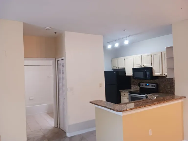 1408 Lake Shadow Cir #1105 — Photo 13