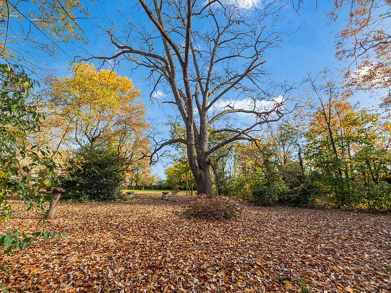 Howell Park Across the Street