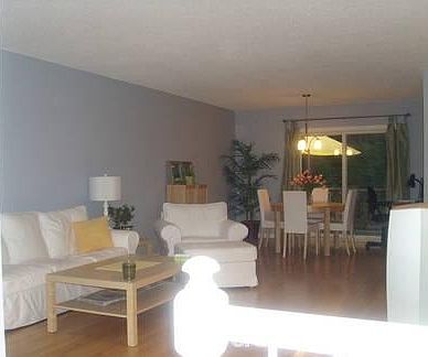 living room / dining room