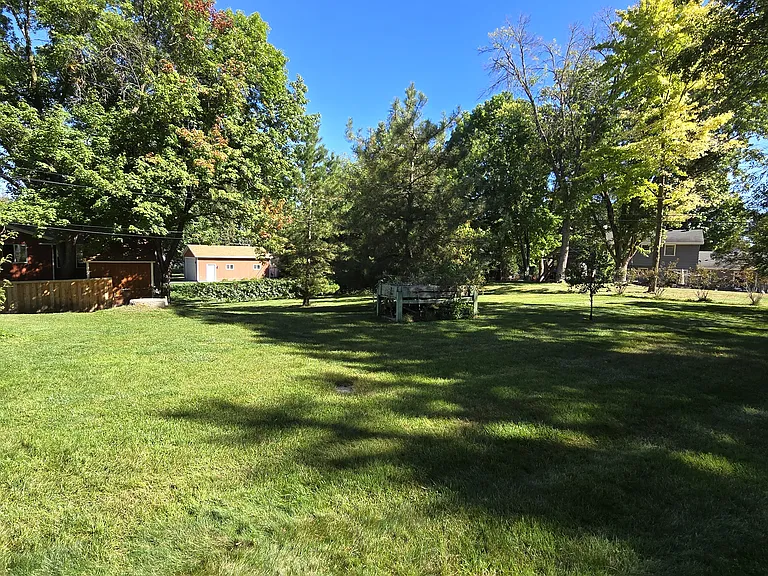 Yard - view from the house