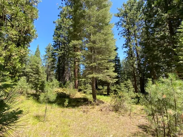 3 Elk Springs Dr #G, McCloud, CA 96057