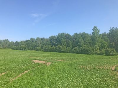 5709 Kilmanagh Rd, Owendale, MI, 48754