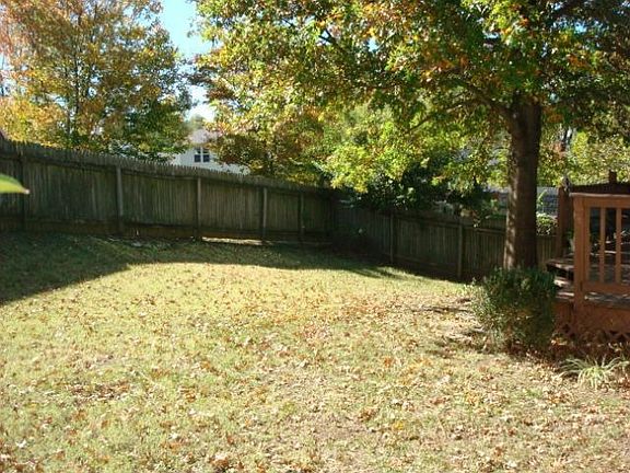 Large park-like backyard