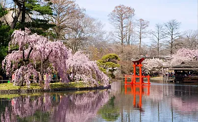 Rented by Harmonycity Corp.