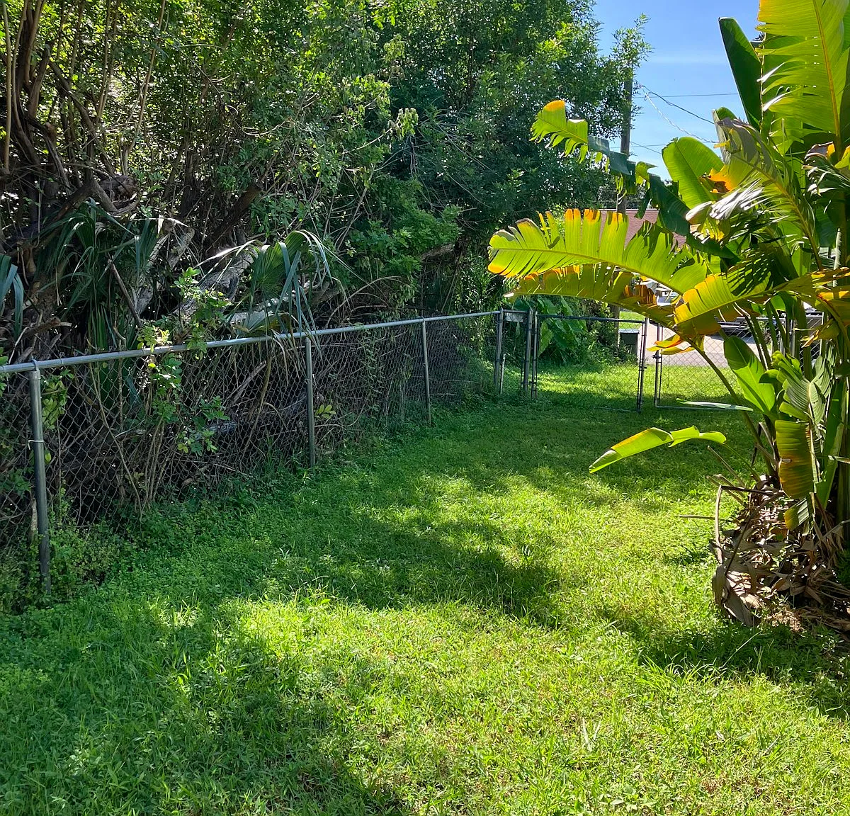 3808 Tonkin Drive — Photo 3