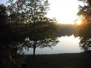 pond