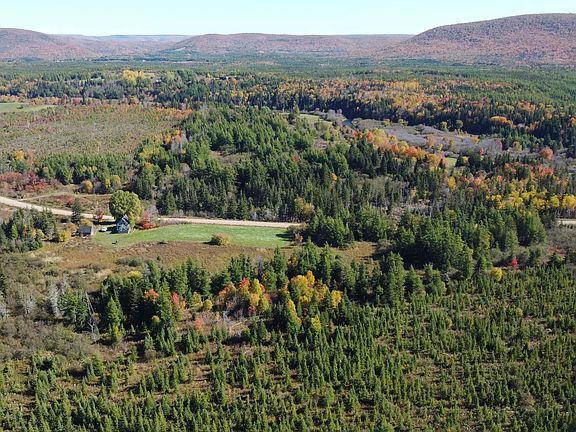 3rd image of 985 Coady Rd