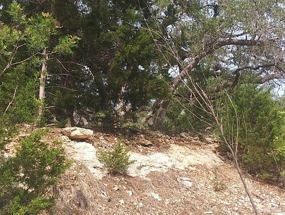 5th image of 825 RUTHERFORD LOT 175