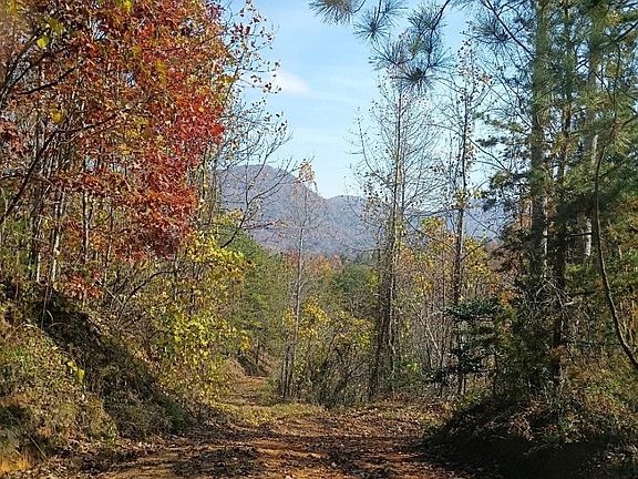 4th image of 3024 Camp Creek Rd