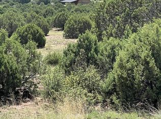 6565 Natures Way, Pinedale, AZ 85934