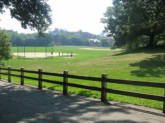 Amory park - off leash hours