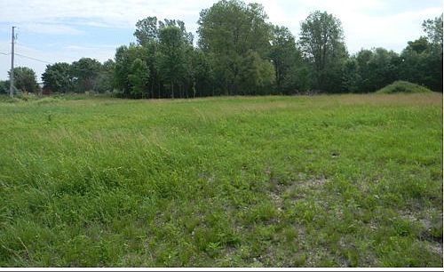 1st image of Ashberry Ave