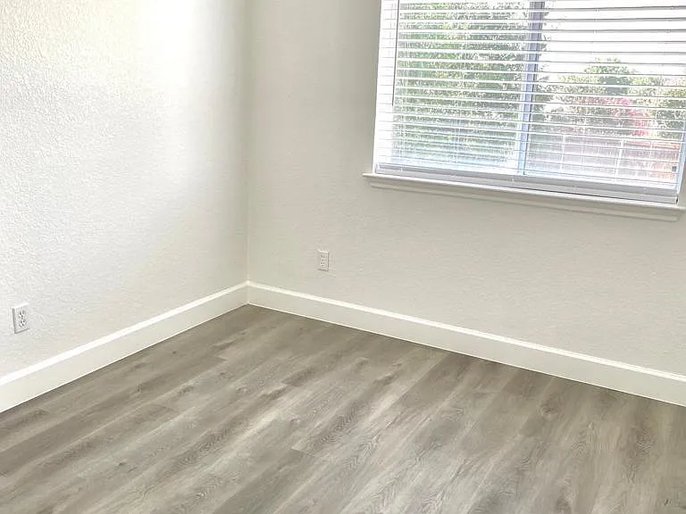 310 Katydid Ct — Photo 6