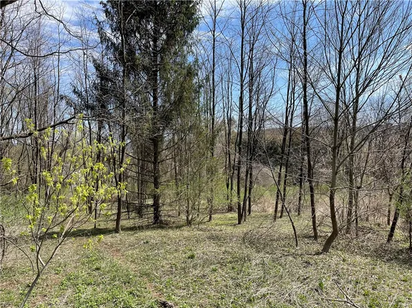 (undisclosed Address), Afton, NY 13730