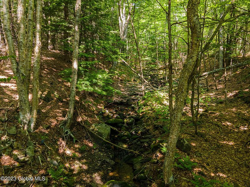 5th image of 188 Bohlen Road