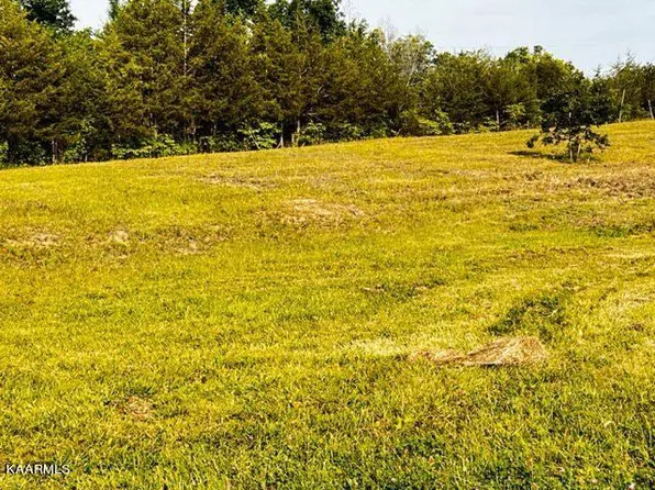Lonesome Pine Rd, Bybee, TN 37713