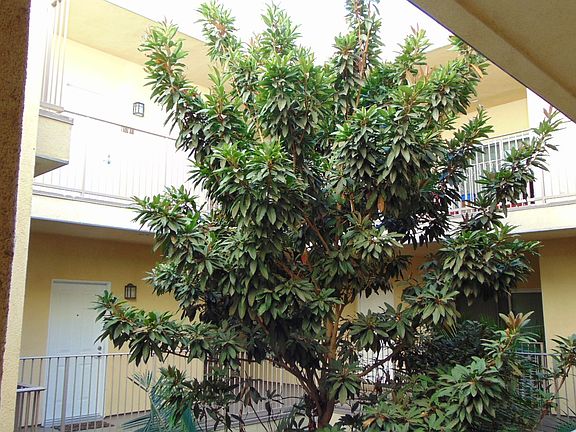 4th image of 14227 Magnolia Blvd APT 212