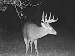 6823 Highway 568, Magnolia, MS 39652