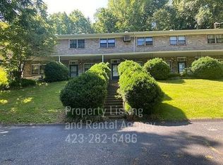 310 W Chestnut St #6, Johnson City, TN 37604