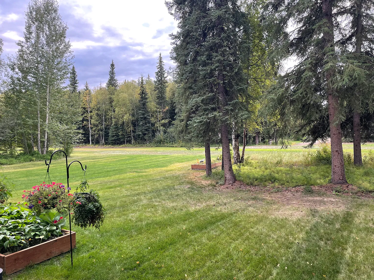 3 bed, 1480 sqft, $2,900 — Photo 4