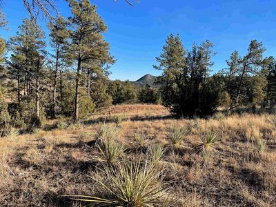 Clubhouse Dr, Hot Springs, SD, 57747