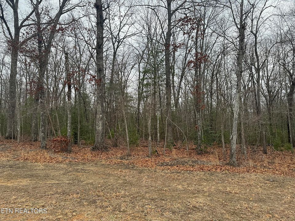1st image of 735 Westchester Dr