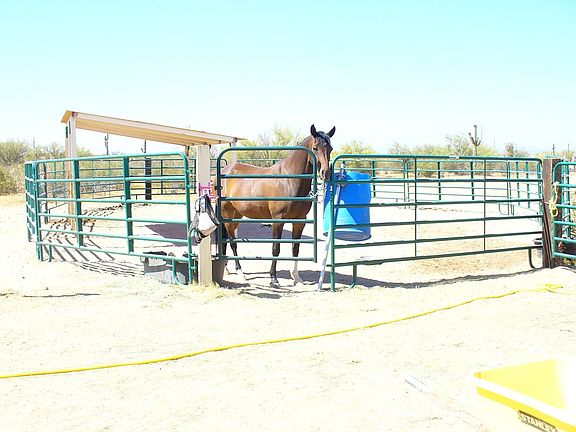 5th image of 35474 S Longhorn Trl