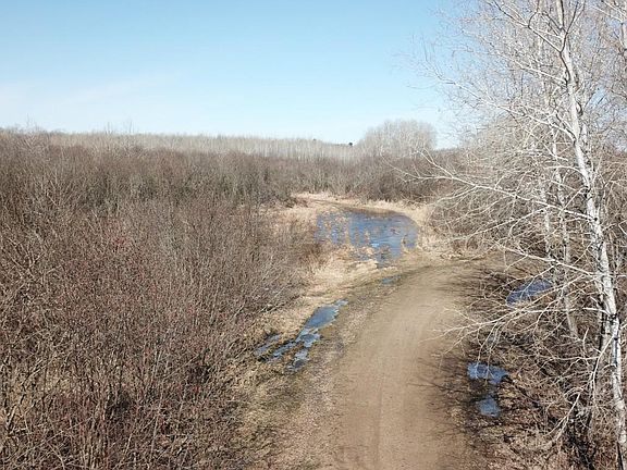 3rd image of Basswood Rd
