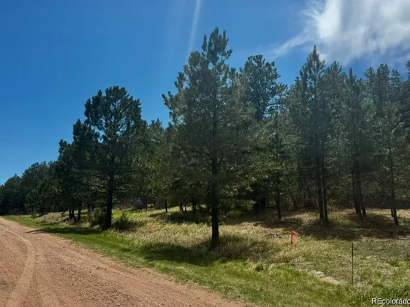 7707 Inca Road, Larkspur, CO 80118