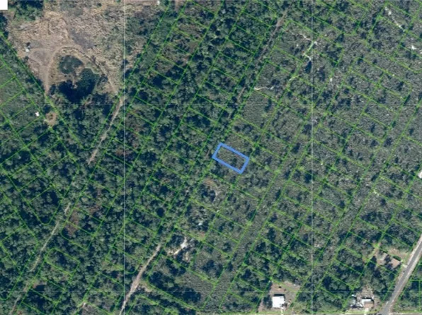 1419 Rutledge Ave, Lake Placid, FL 33852