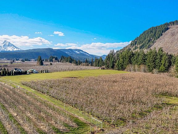 3rd image of 4510 Oleary Rd