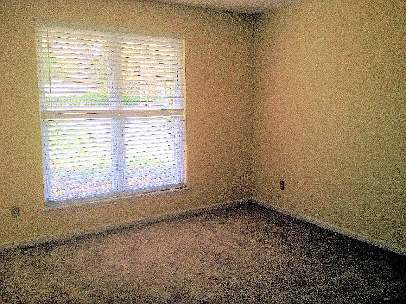 Living room/sittting