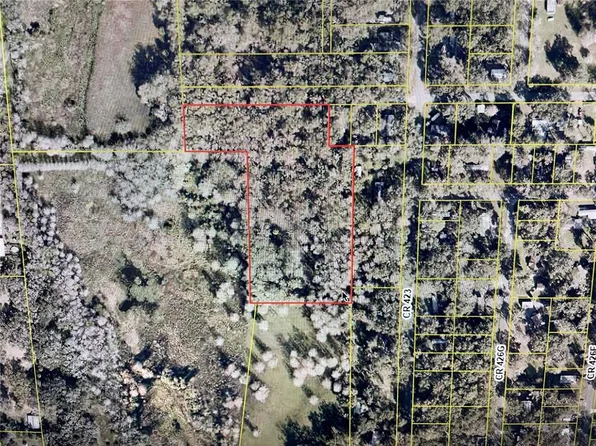County Road 423 Lot 1, Lake Panasoffkee, FL 33538