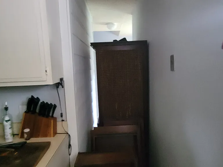This is a current photo of the hall between the entry and the kitchen. This hall will be closed off and turned into an entry closet and a pantry allowing for more storage.
