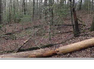 0 Dogwood Ct, Blue Ridge, GA 30513