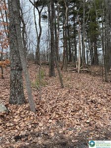 339 Williamson Dr, East Stroudsburg, PA, 18301