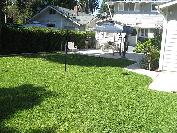 park-like back yard