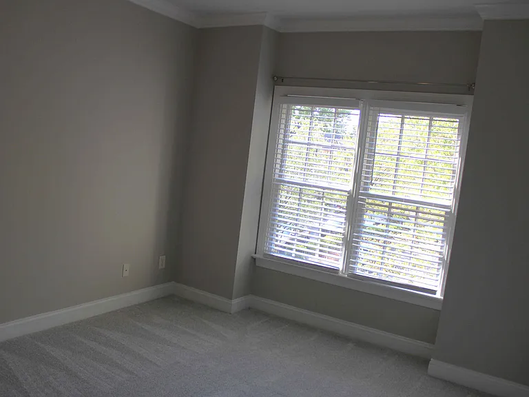 1345 Cameron View Ct — Photo 13