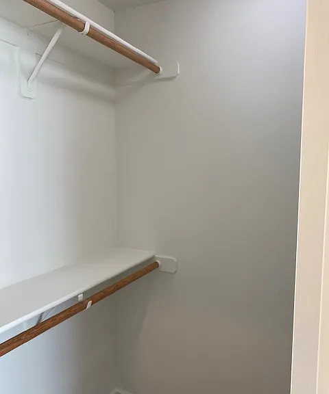 Walk In Closet #1