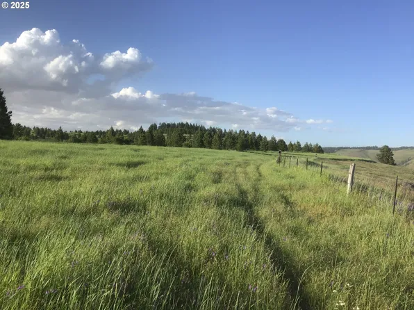 (undisclosed Address), Weston, OR 97886