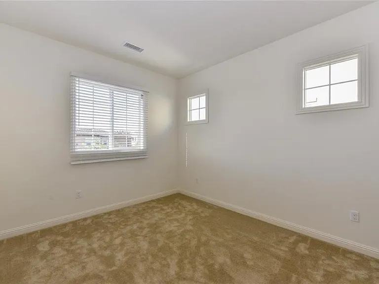 16 Torosa — Photo 14