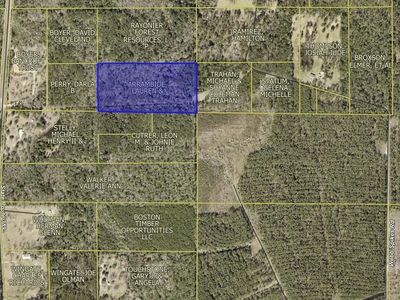 0 Webb Spikes Rd, Merryville, LA, 70653