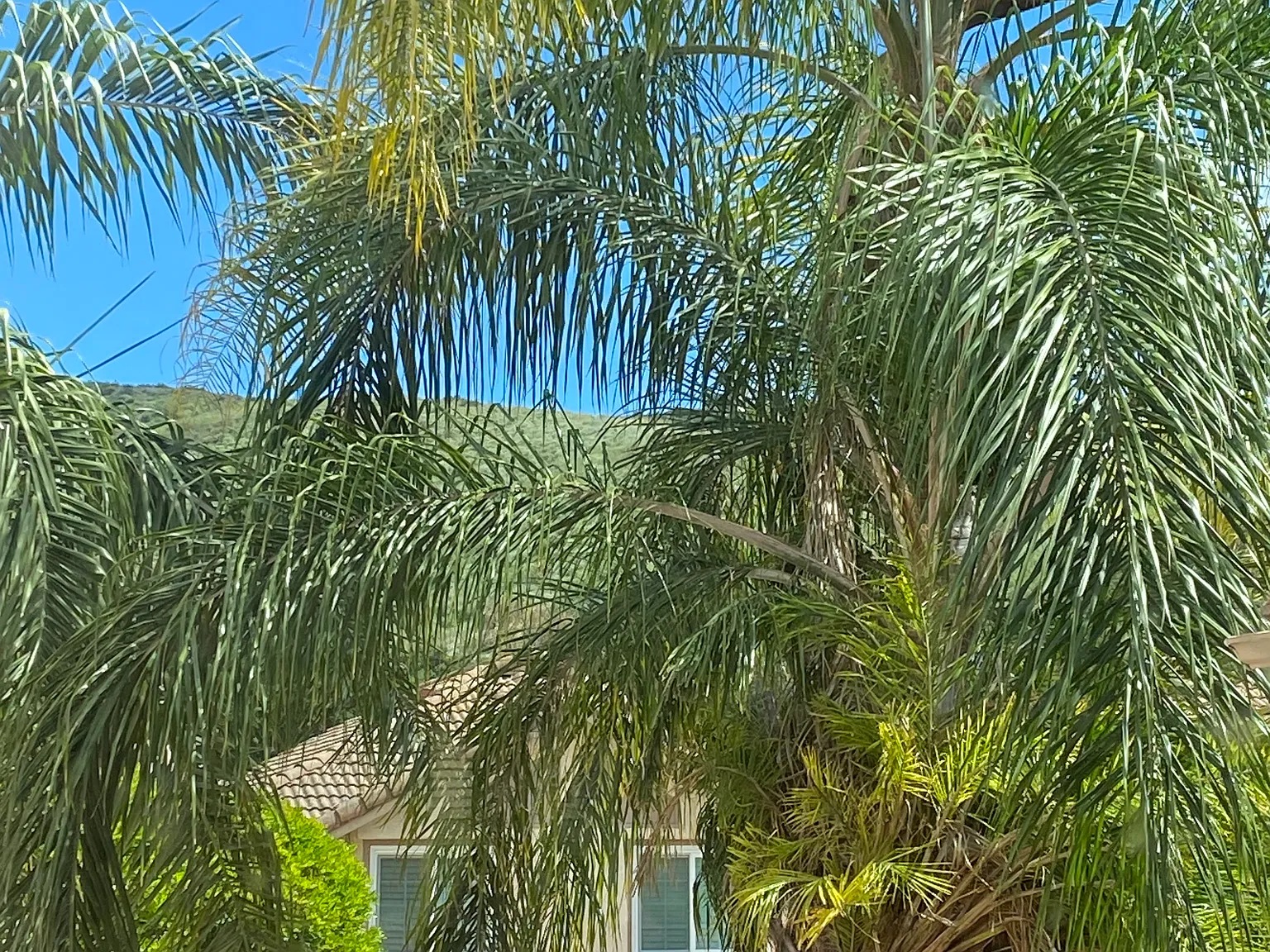 3 bed, 1890 sqft, $5,090 — Photo 1