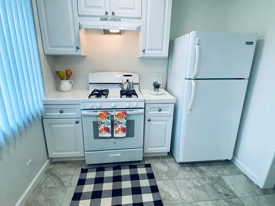 Gas stove