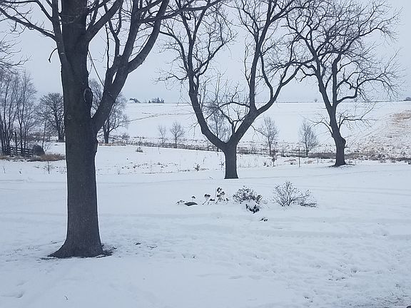 Backyard view to east